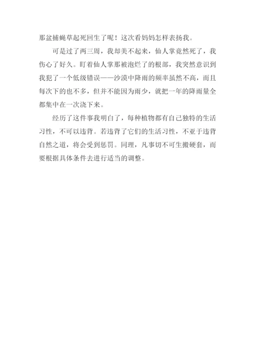 自然之道作文300字.docx