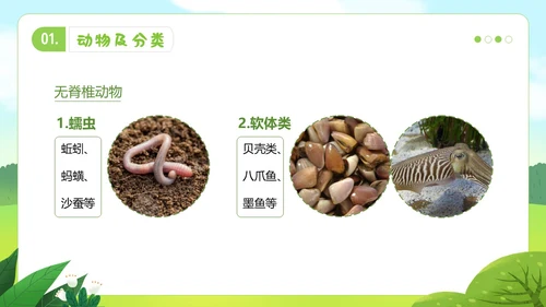 认识小动物幼儿园认识动物主题班会PPT课件世界动物日