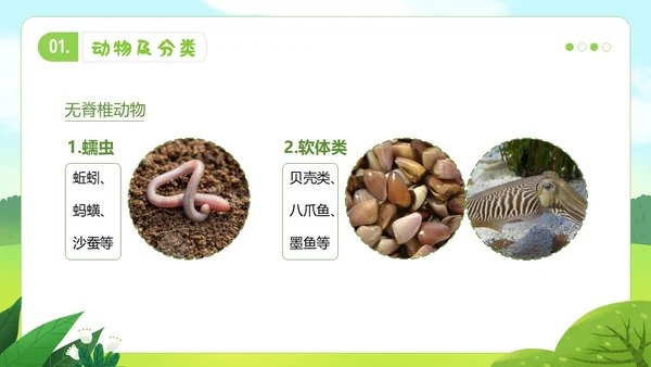 认识小动物幼儿园认识动物主题班会PPT课件世界动物日