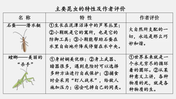 八年级上册语文第五单元 名著导读 《昆虫记》 课件