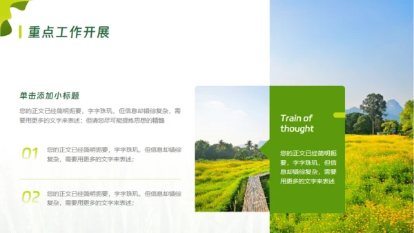 乡村振兴项目工作报告通用PPT模板