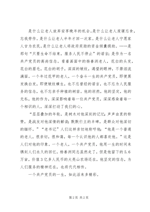 学习杨善洲同志先进事迹心得体会报告.docx