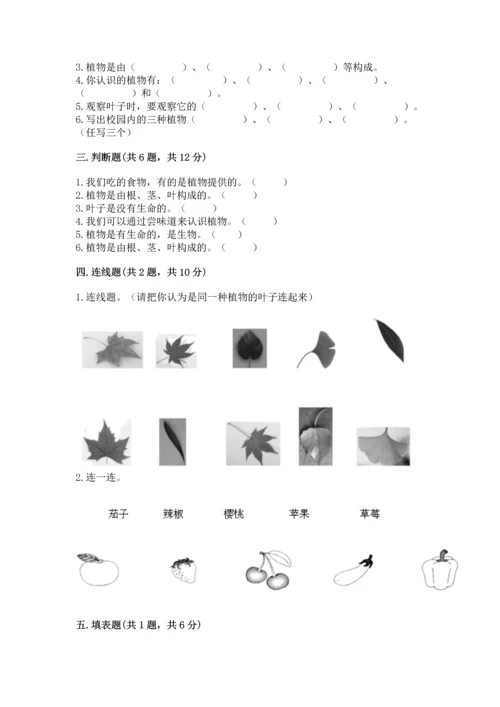 教科版科学一年级上册第一单元《植物》测试卷及答案（夺冠系列）.docx