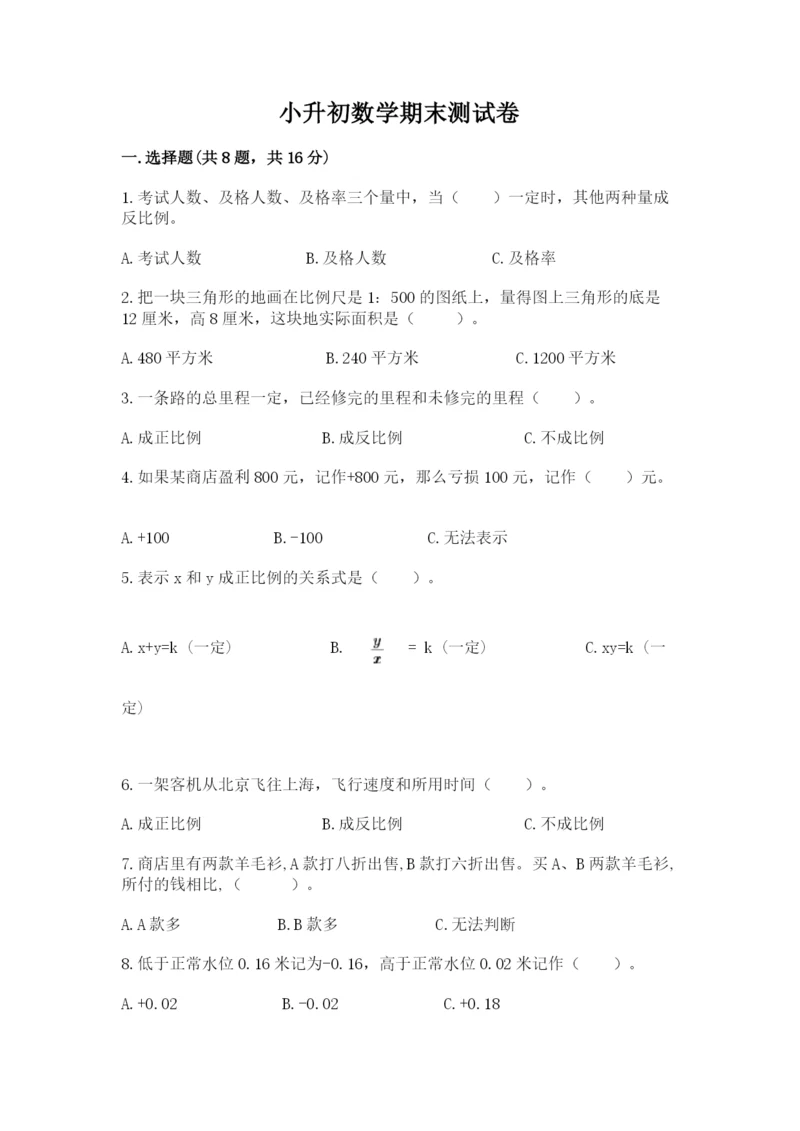 小升初数学期末测试卷审定版.docx