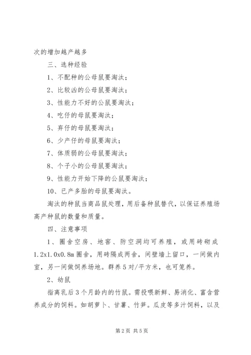 竹鼠养殖计划书 (3).docx