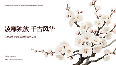 白色简约风梅花介绍PPT模板