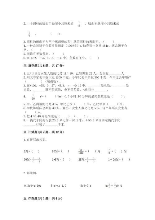 那坡县六年级下册数学期末测试卷及完整答案1套.docx