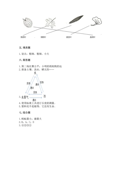 教科版一年级上册科学期末测试卷附参考答案【考试直接用】.docx