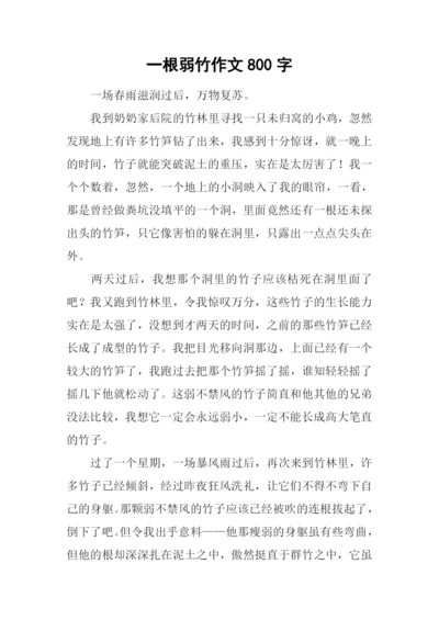 一根弱竹作文800字.docx