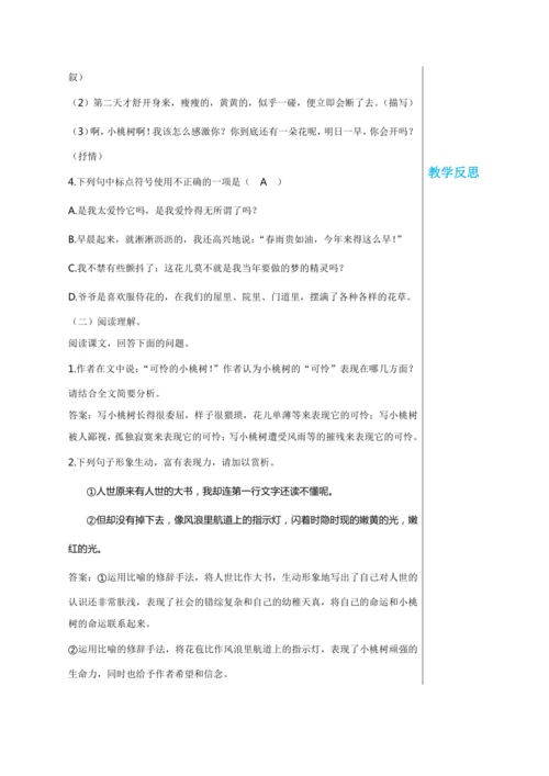 第五单元 19 一棵小桃树 教学详案