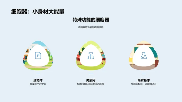 初中生物细胞学报告PPT模板