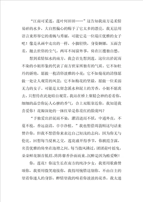 莲花的作文精彩9篇