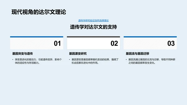 解析生物进化PPT模板