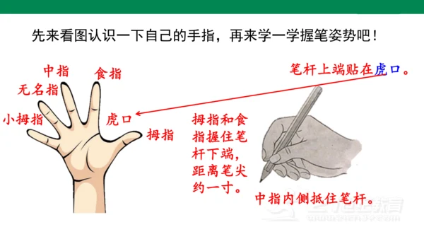 我爱学语文-人教版语文一年级上册我上学了   课件