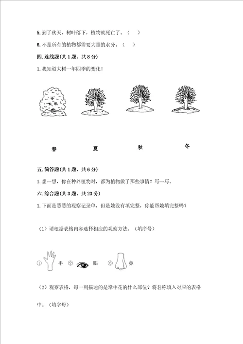 教科版科学一年级上册第一单元植物测试卷附答案考试直接用