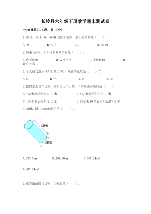 长岭县六年级下册数学期末测试卷（突破训练）.docx