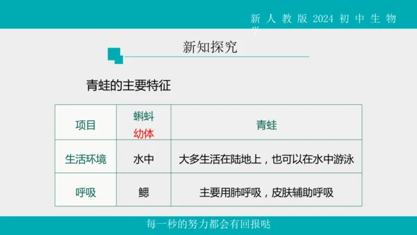 人教版生物七年级上册2.2.2《脊椎动物》（第1课时）课件(共42张PPT)+视频素材