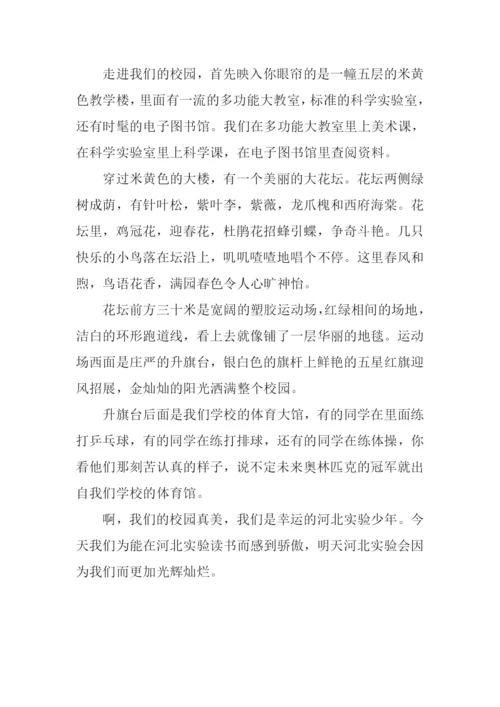 我们的校园作文-2.docx