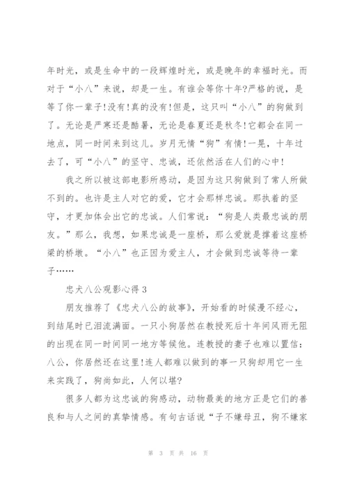 忠犬八公观影心得10篇.docx