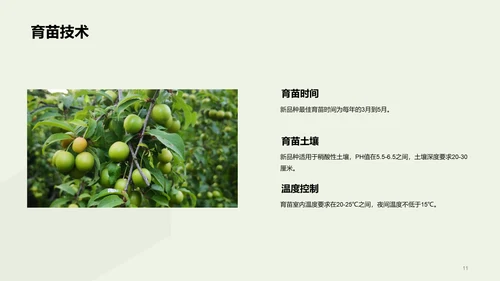 绿色现代农业新品种推广会发布会PPT模板