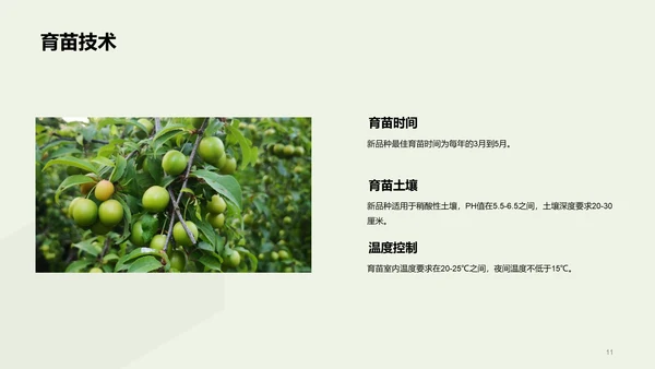 绿色现代农业新品种推广会发布会PPT模板