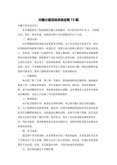 兴趣小组活动总结合集15篇.docx