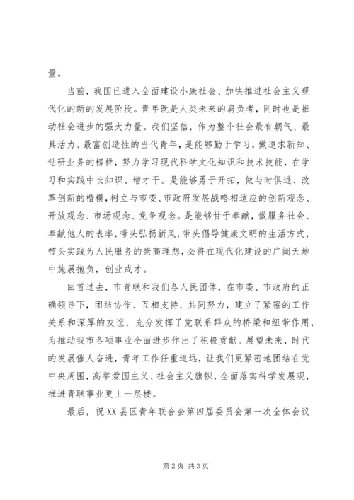 在XX省青年联合会第十届委员会第一次全体会议 (3).docx