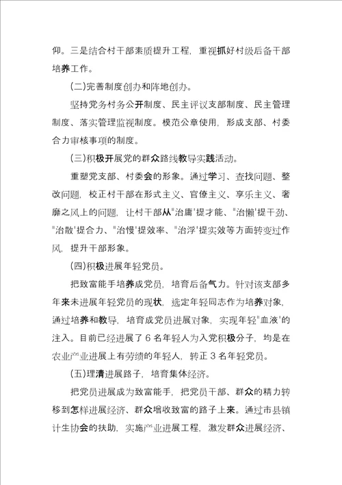 村书记年终述职报告例文