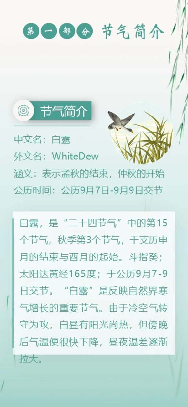 白露节气二十四节气知识手机竖版PPT课件