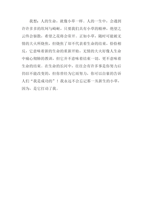 小草借物喻人的作文.docx