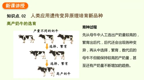 7.2.5生物的变异-八年级生物人教版下学期同步精品课件(共34张PPT)