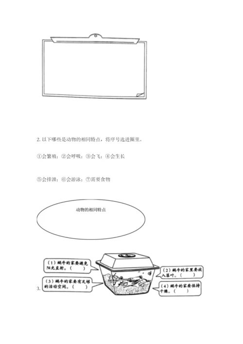 教科版一年级下册科学期末测试卷附参考答案ab卷.docx