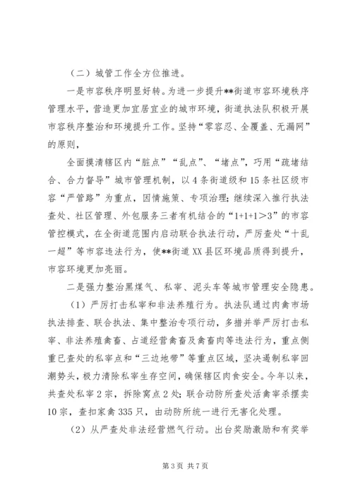 执法队XX年上半年工作总结和下半年工作计划.docx