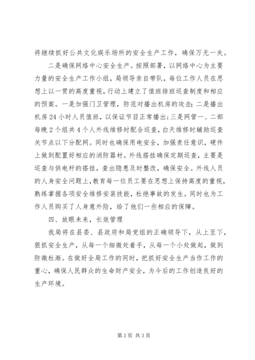 县文广局安全生产情况汇报材料.docx