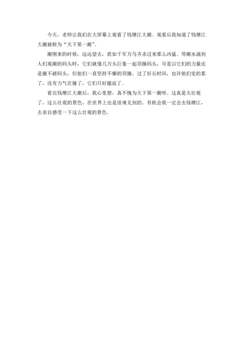 关于钱塘江大潮的文章大全.docx