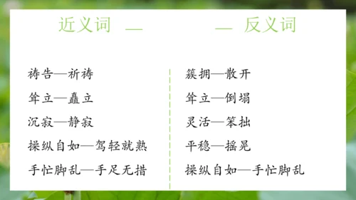 统编版语文五年级下册第七单元（课件）