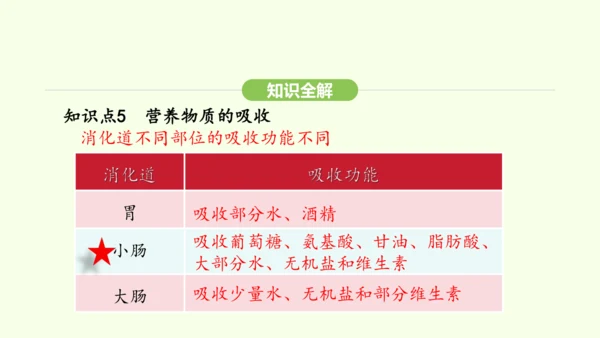 第四单元-第二章-第二节 第2课时 食物的吸收课件-2024-2025学年七年级生物下学期人教版(2