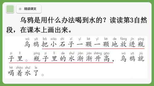 9《乌鸦喝水》课件