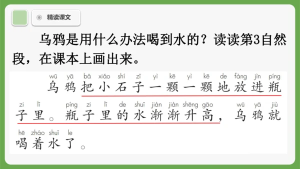 9《乌鸦喝水》课件