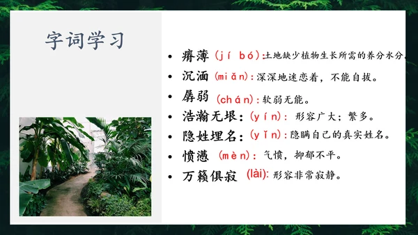 地下森林作家张抗抗作品解读PPT课件