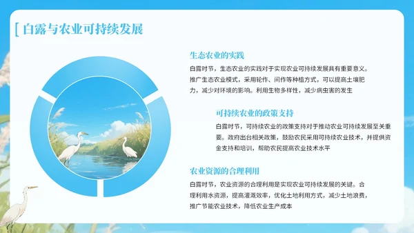 蓝绿色中国风白露节气知识宣传PPT