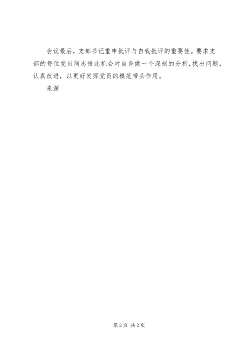 党支部民主生活会总结_1.docx