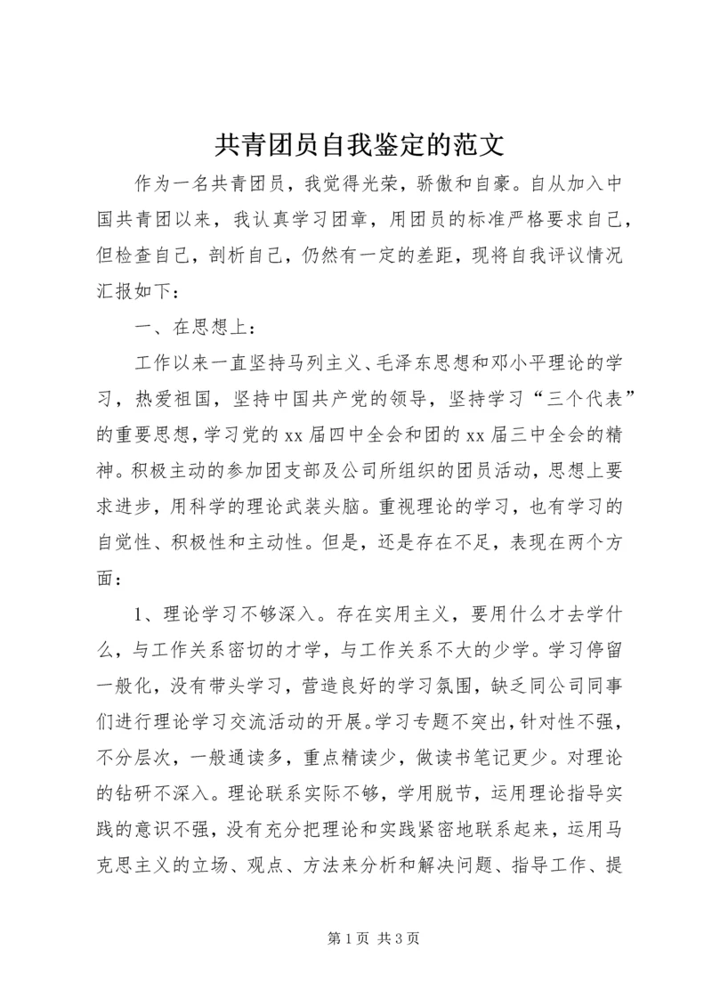 共青团员自我鉴定的范文 (2).docx