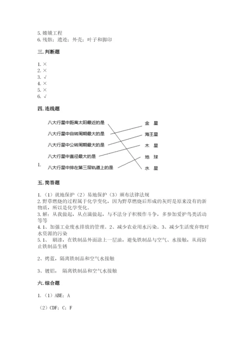 教科版科学六年级下册期末测试卷【考试直接用】.docx