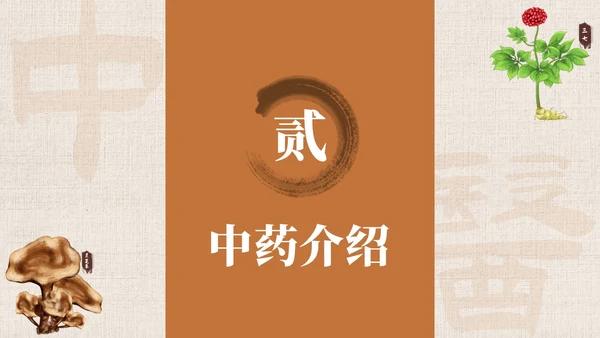 黄色系简约中国风中医药培训PPT模板