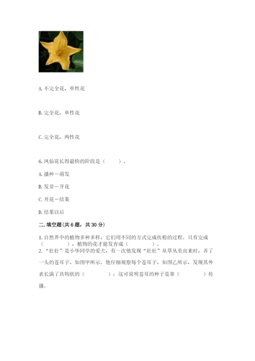 教科版四年级下册科学第一单元《植物的生长变化》测试卷精品【全优】.docx