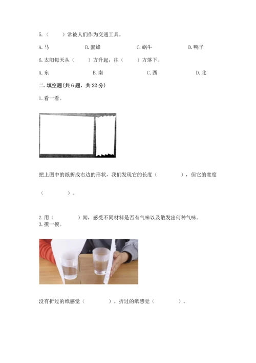 教科版二年级上册科学期末测试卷及参考答案【考试直接用】.docx