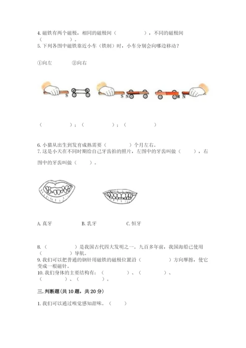 教科版二年级下册科学期末测试卷带答案（精练）.docx