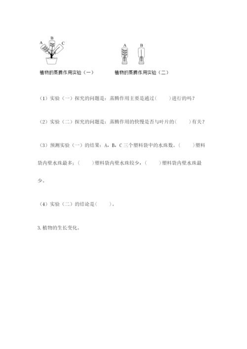 科学四年级下册第一单元《植物的生长变化》测试卷有答案.docx