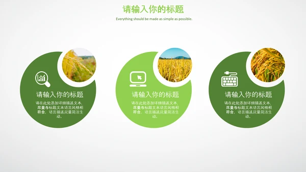 农业生产春耕三农新农村乡村振兴稻田水稻PPT
